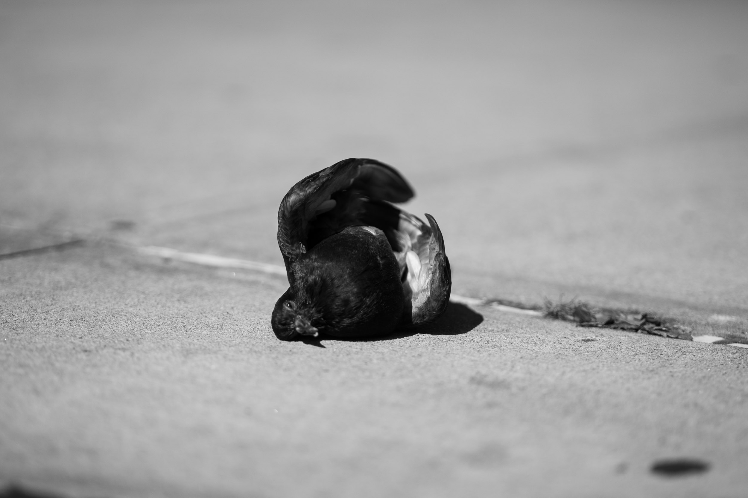 Street Photography von Nicolas Cassardt, München – Bild 3